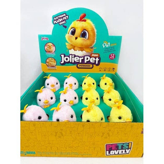 Wind up Hatching Chick Toy