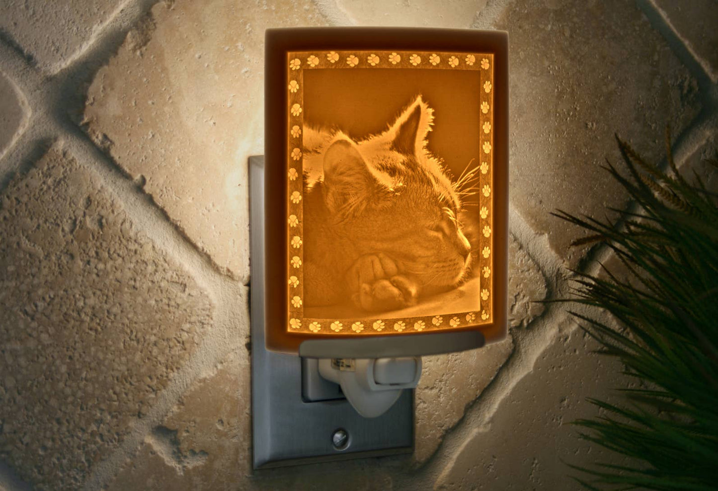 Kitten Dreams Porcelain Lithophane Night Light