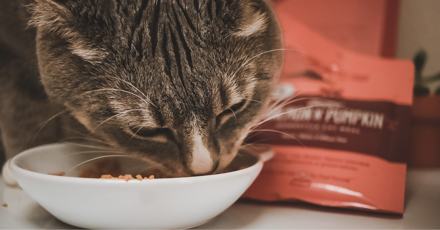 Luke's Chicken N' Pumpkin Human Grade Fresh Wet Food