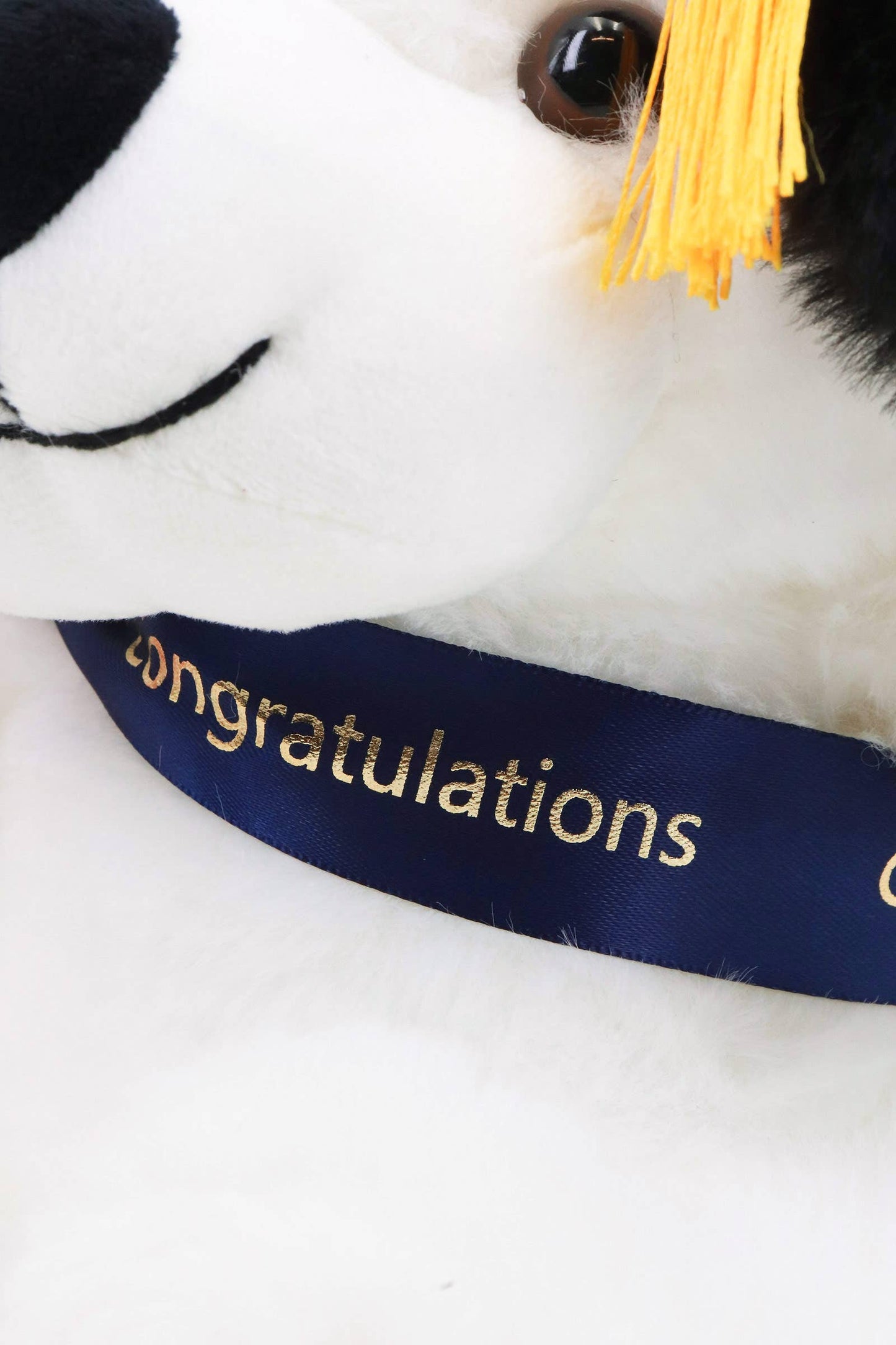 Graduation Puppy Dog Soft Stuffed Plush