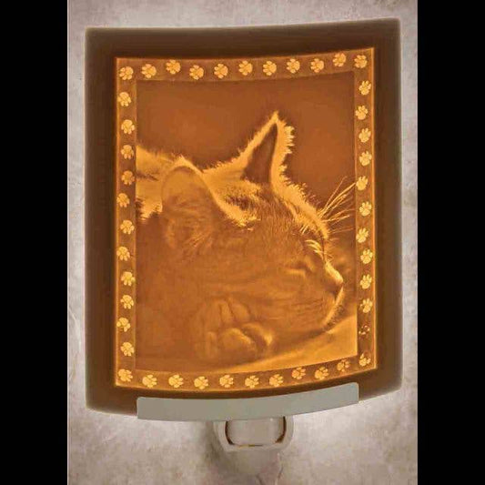 Kitten Dreams Porcelain Lithophane Night Light